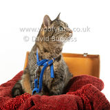 Smudge 180820 020