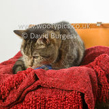 Smudge 180820 021