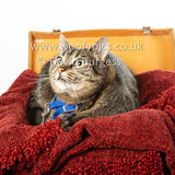 Smudge 180820 022