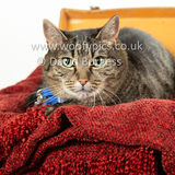 Smudge 180820 027