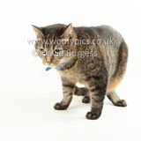 Smudge 180820 052