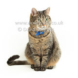 Smudge 180820 063