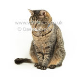 Smudge 180820 067