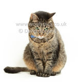 Smudge 180820 071