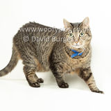 Smudge 180820 074