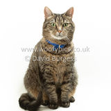 Smudge 180820 084