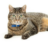Smudge 180820 085