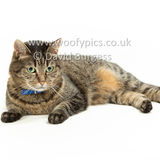 Smudge 180820 086