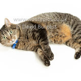 Smudge 180820 087