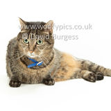 Smudge 180820 091