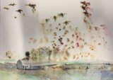 Horsa Glider & Drop. 2018