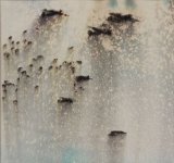 Rain Drop