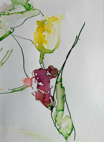 "Last Tulip" Ink & Watercolour on Paper. 40x30cm