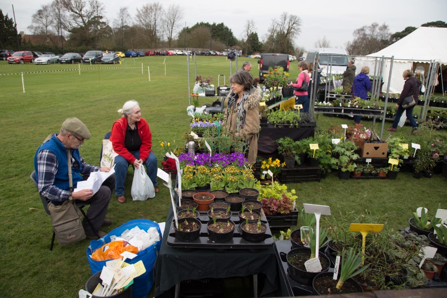 2018 GBC Plant Fayre-8975
