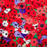 Lacock Remembers -10