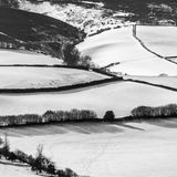 Landscapes-23