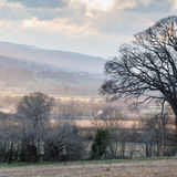 Landscapes-25