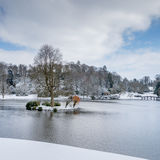 Stourhead-11