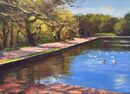 Blackroot Pool, Sutton Park