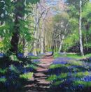 Bluebell Wood