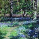 Bluebell Wood