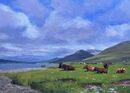 Chillling in Mull