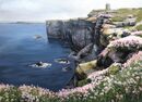 Orkney Cliffs