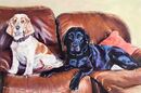 Willow and Skye