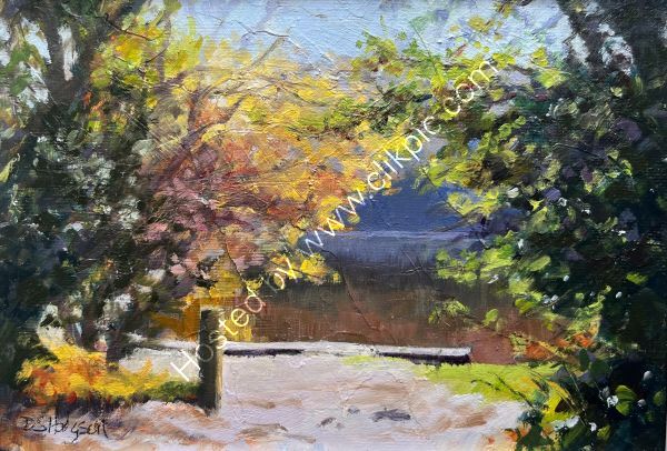 Glimpse of Keeper's Pool, Sutton Park