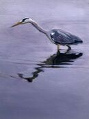 Heron 1
