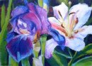 Iris & Lily