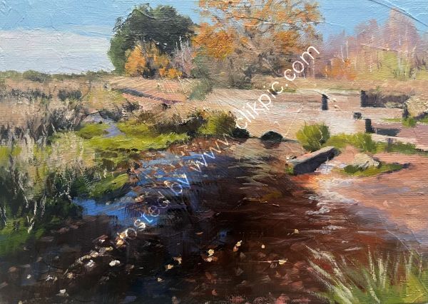 Place to Paddle, Sutton Park