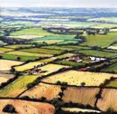 Patchwork Fields, North Yorkshire