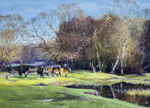 Ponies at Little Bracebridge, Sutton Park