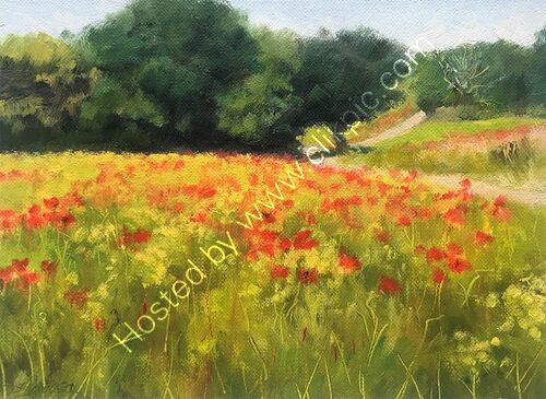 Poppy Field on the Tamworth Road