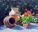 Pots & Tulips, Heligan