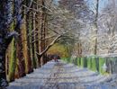 Railway Walk, Sutton Park