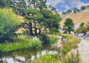 River Dove Walk