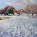 Snow Time in Sutton Park