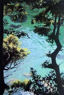 Still Waters