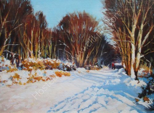 Sun and Snow, Sutton Park