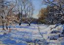 Sutton Park Snow