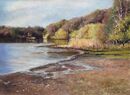 The Beach, Bracebridge Pool - Sutton Park