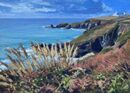 A Walk around the Lizard