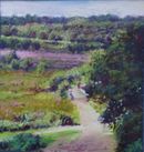 View of Heather, Sutton Park