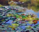 Water Lilies, Blackroot Pool