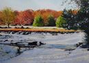 Winter at Wyndley Gate
