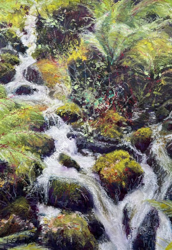 Woodland Stream