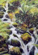 Woodland Stream