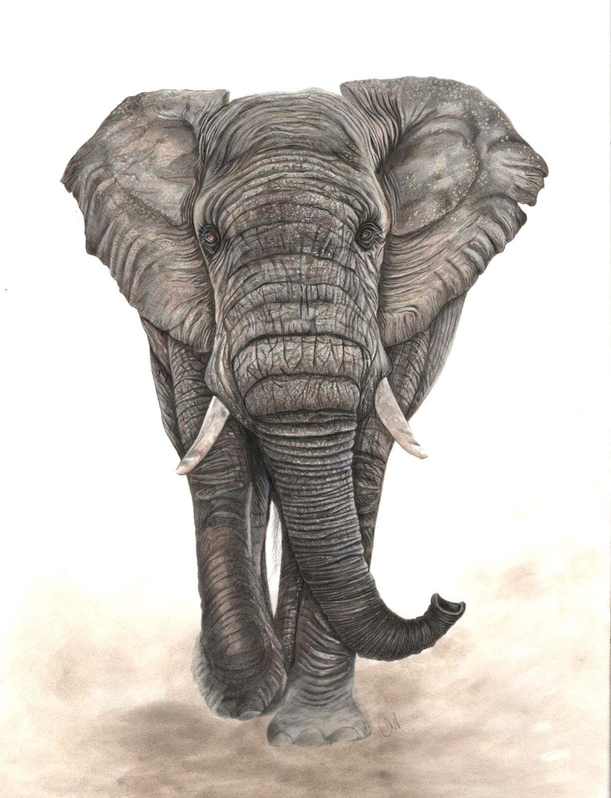 The Big and Mighty Elephant Portrait